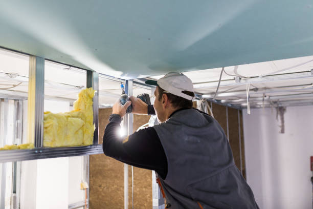 Best Specialty Insulation in Ladera Ranch, CA
