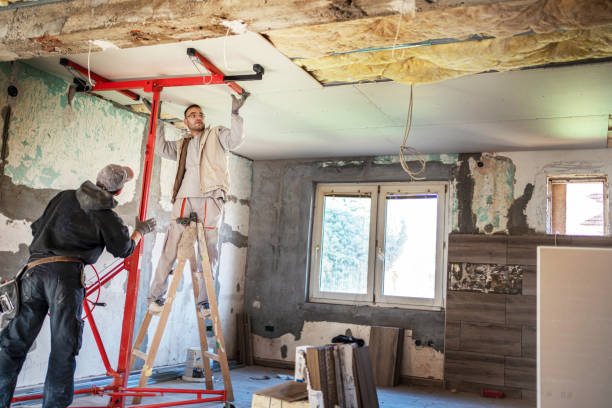Best Insulation Installation Services in Ladera Ranch, CA